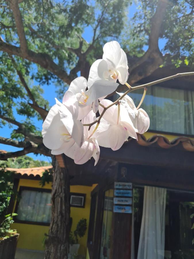 Casa Ferradura Com Hidro,Piscina E 500 Metros Da Praia Búzios Buitenkant foto